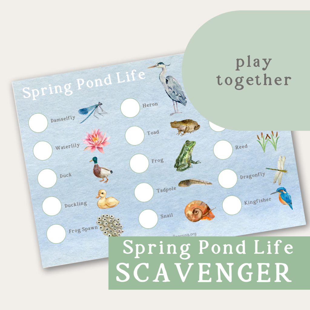 spring pond life scavenger hunt - play together