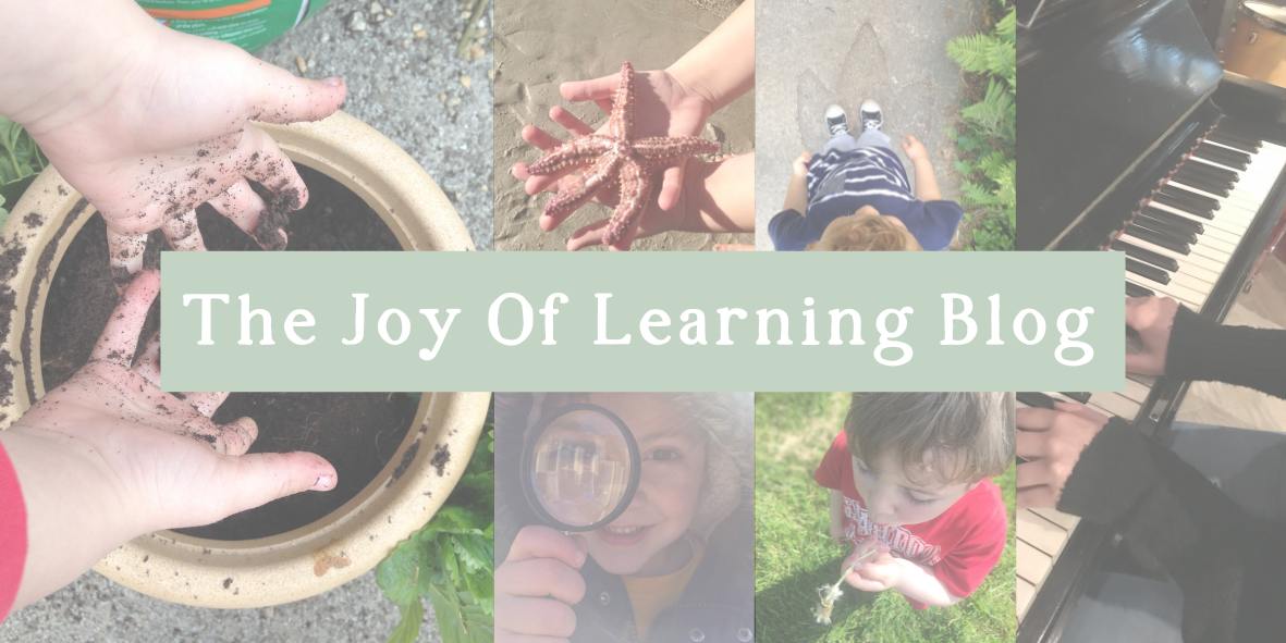 The Joy of Learning Blog