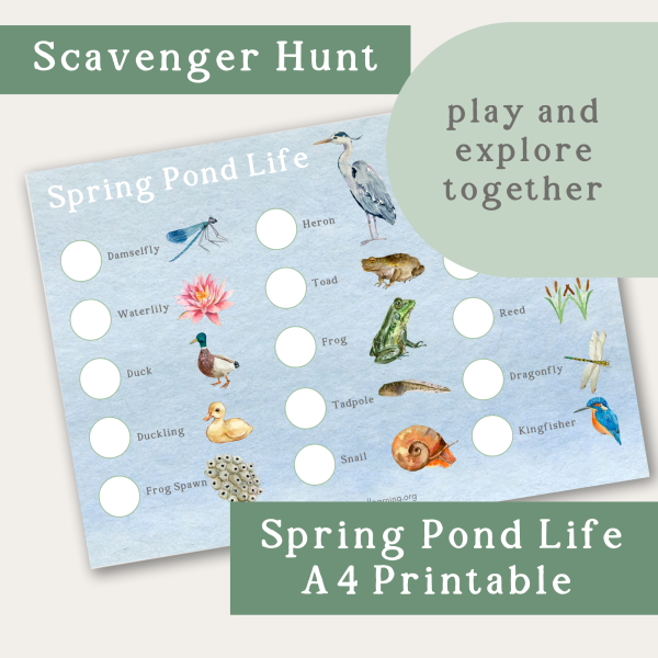 Spring Pond Life A4 Printable Scavenger Hunt