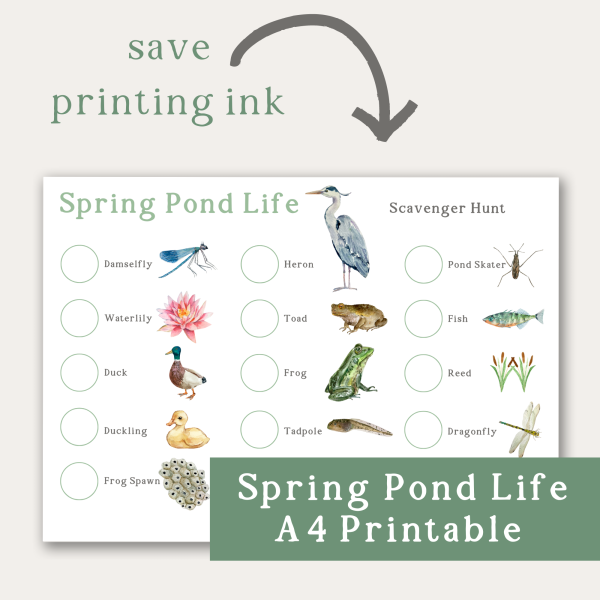 Spring Pond Life A4 Printable Scavenger Hunt