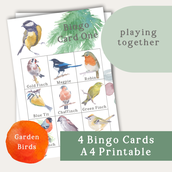 Bird Bingo