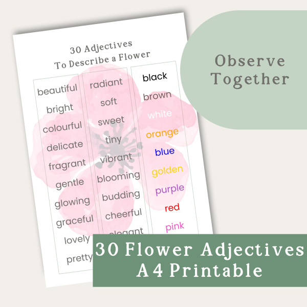 30 adjective flower descriptions