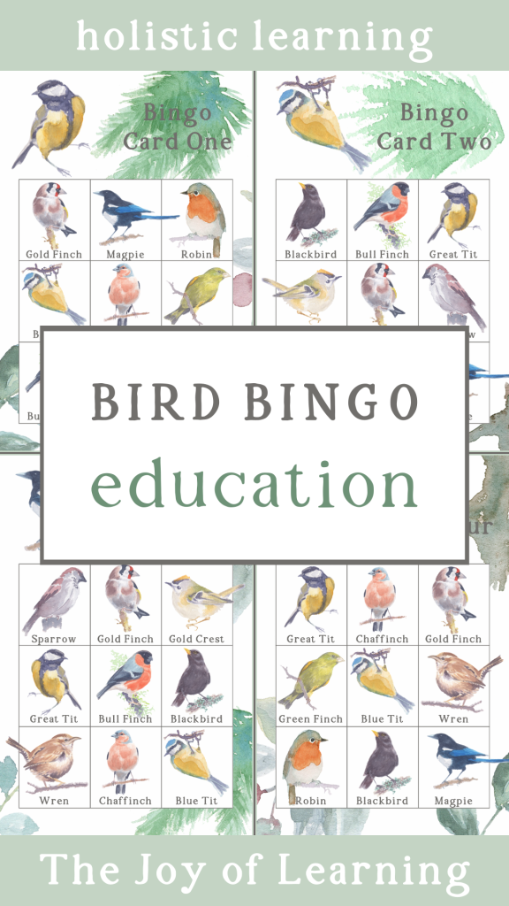 Bird Bingo Educational Games
